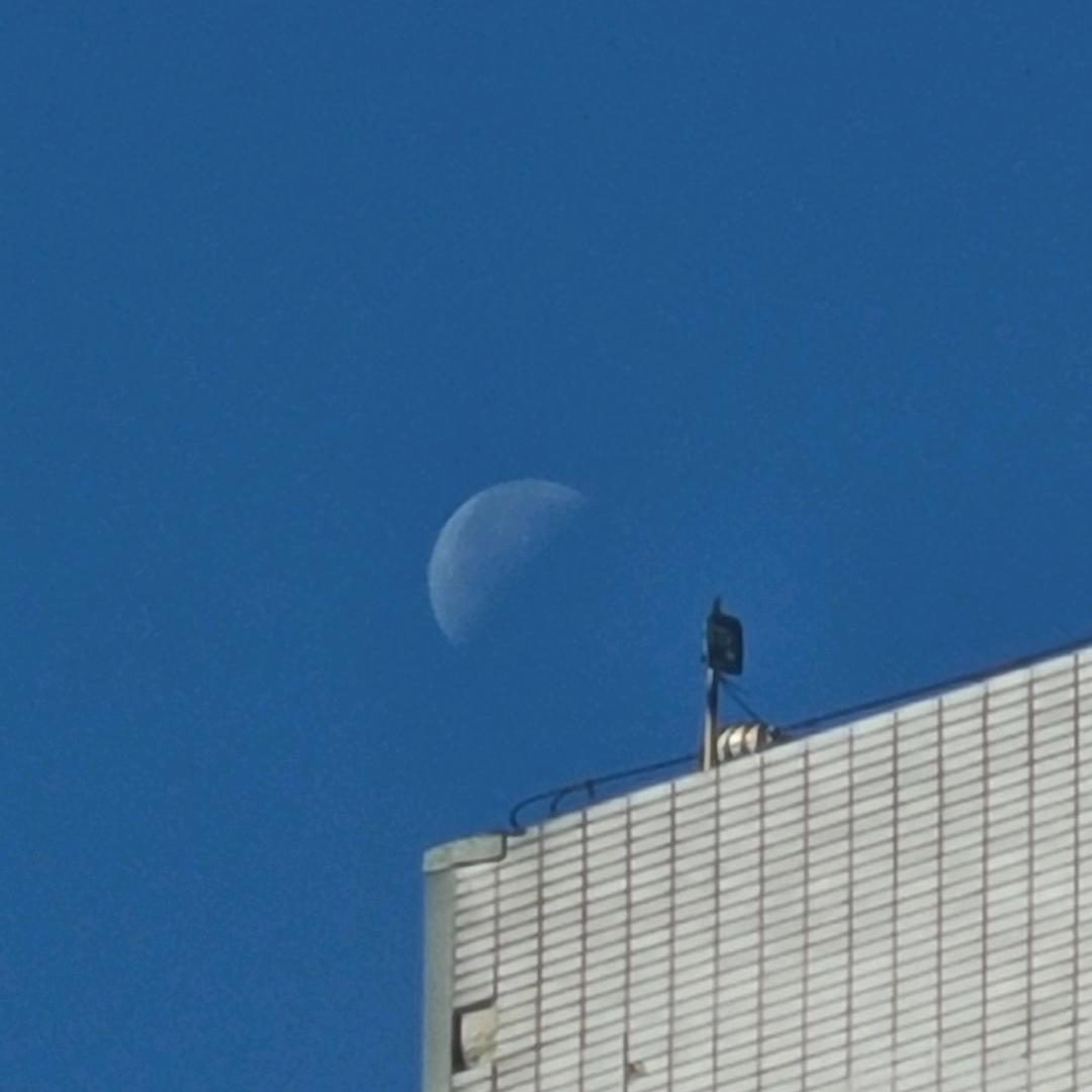 头头iron