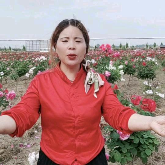 农村六妹🎤🎼