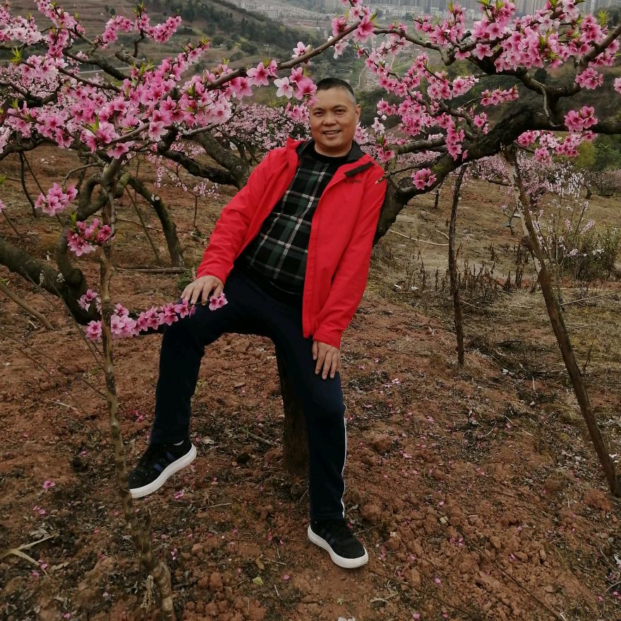 华哥.