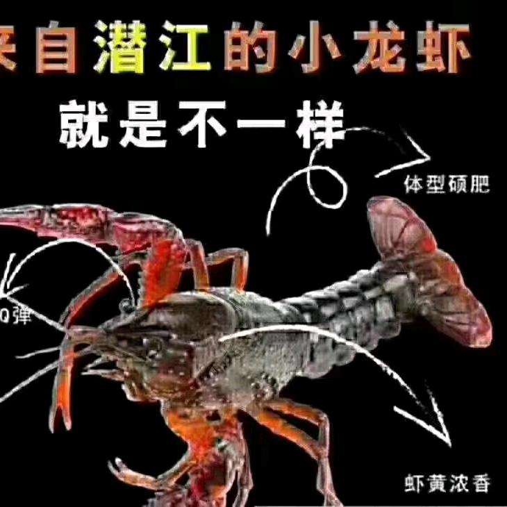 七里海哥水产