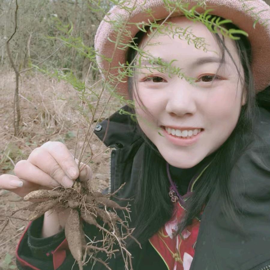 苗岭阿姊——信息咨询中心