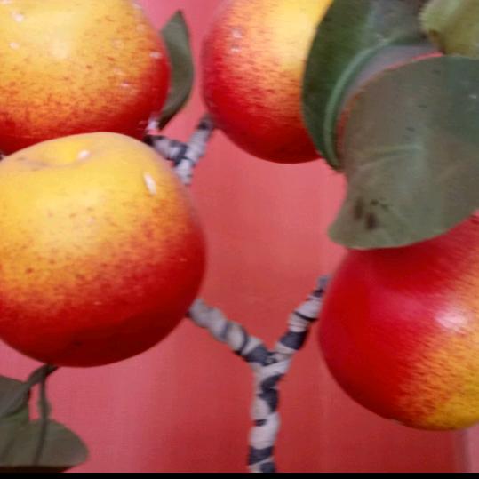 想着你的好，谢谢老铁们关注，和伶昕