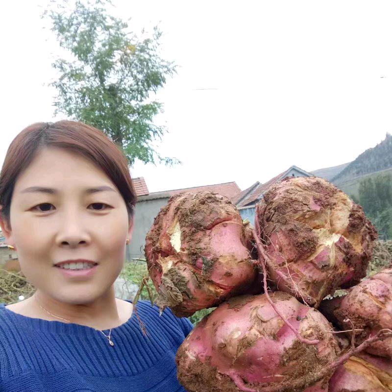 @墩墩妈