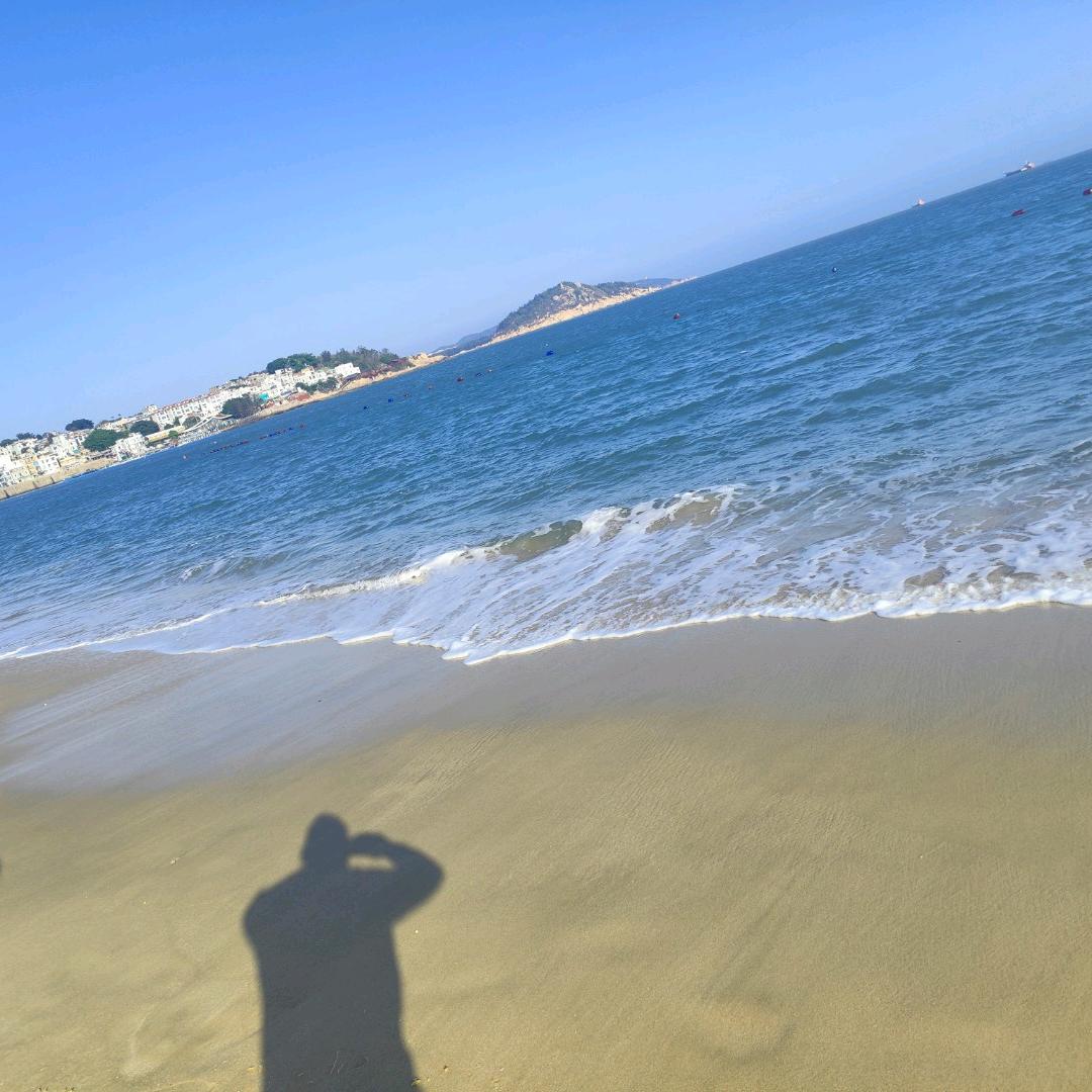 鹏。