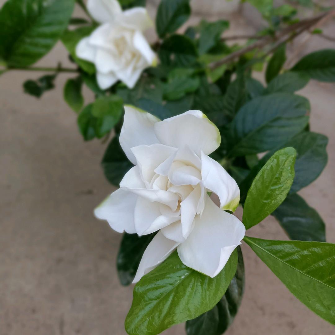 微笑向暖🍀