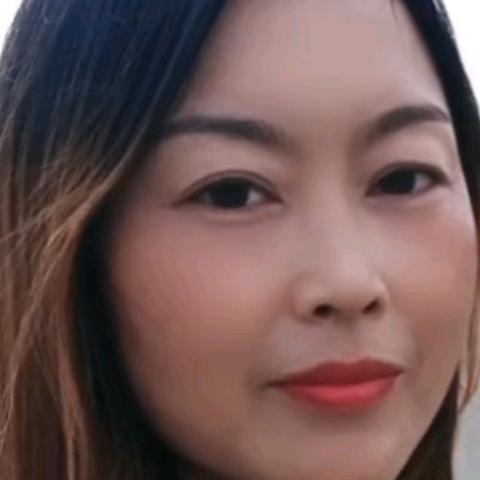 孤蝶