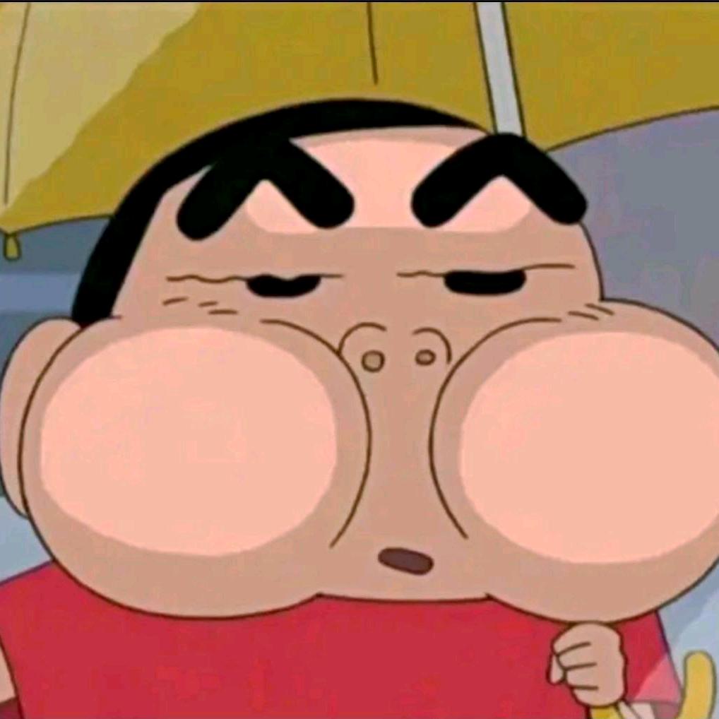 飞🐽