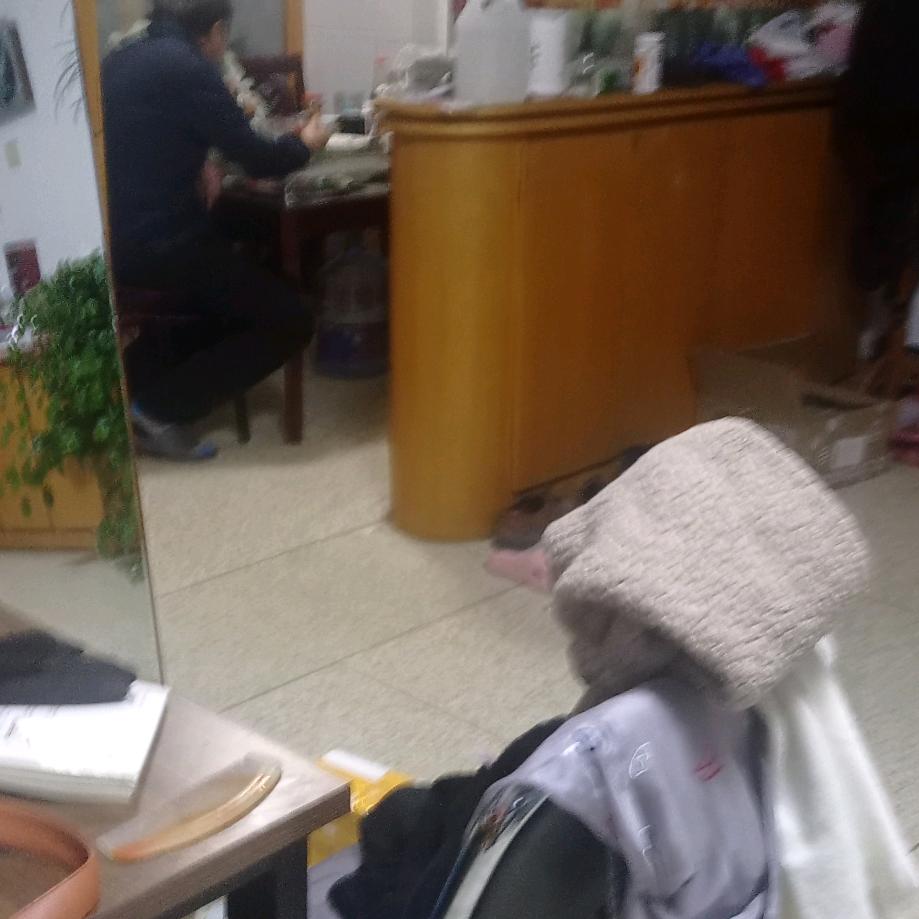 家人有约