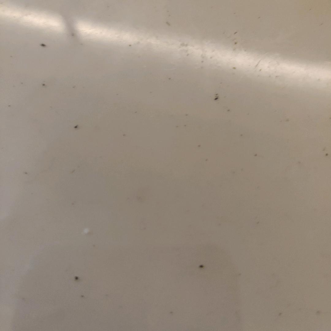 笑尽往事
