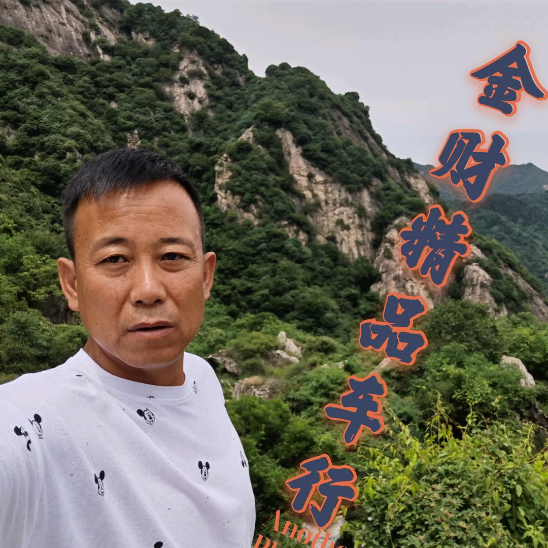 定边县任金财二手车信息服务部