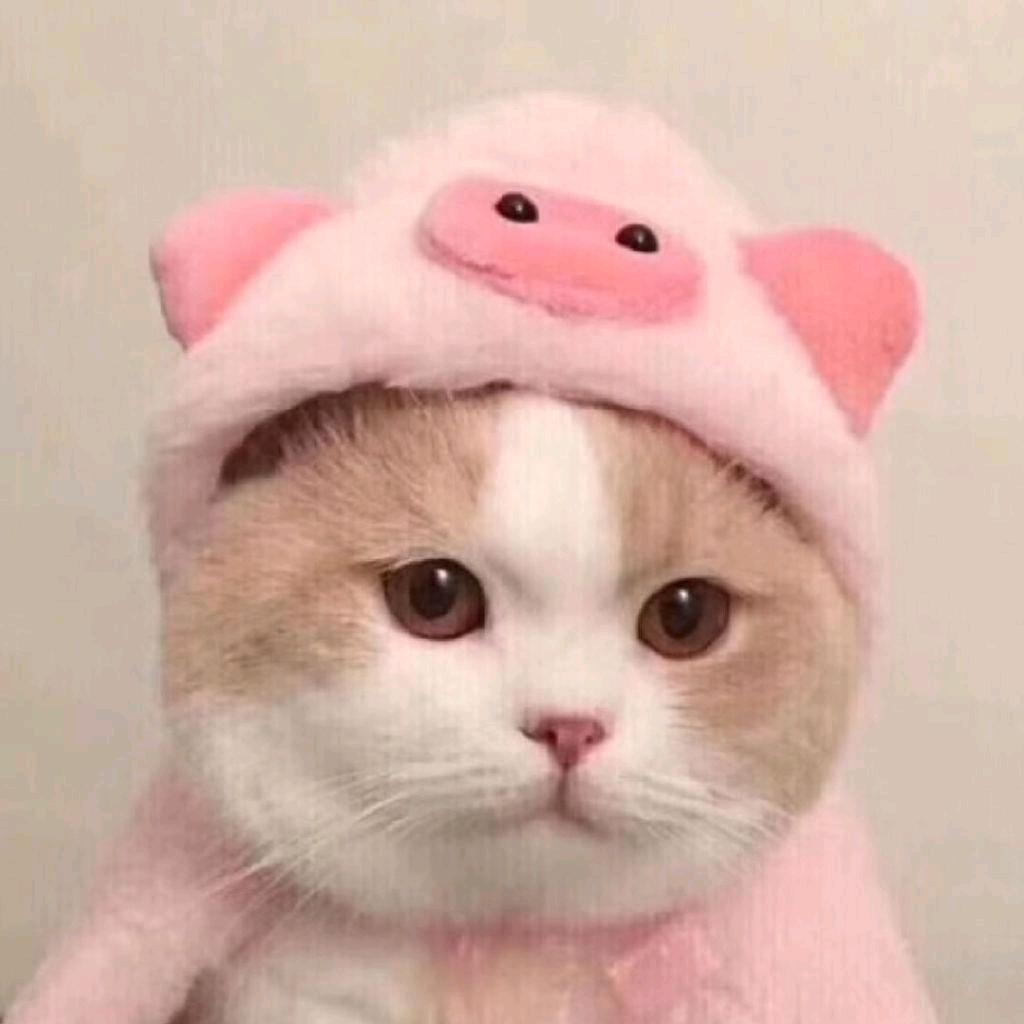 言蘅