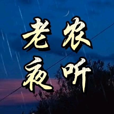 老农夜听