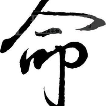 🍊🍊橙子皮🍊🍊