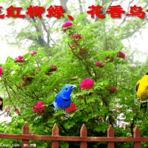 快乐的人