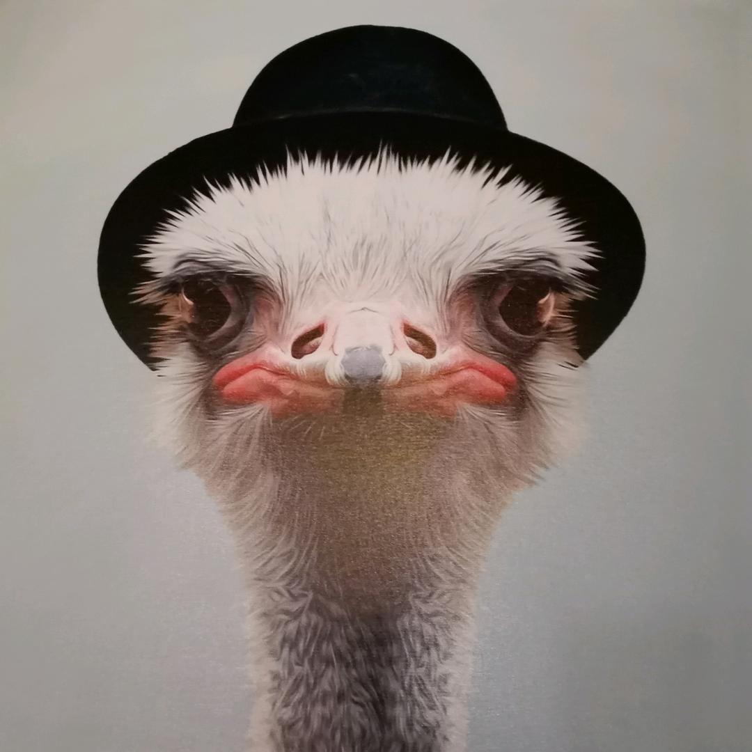 辉