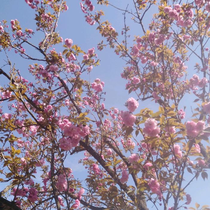 幸福就是这么简单✨