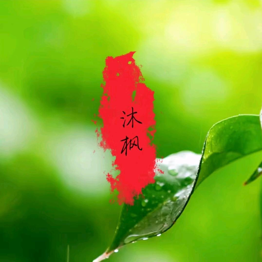 沐枫一国学文化