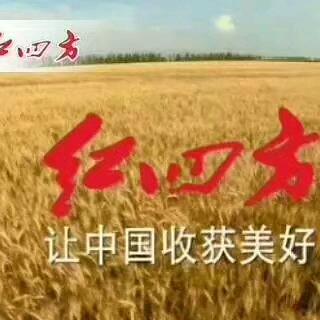 河南伊川—老魏农资