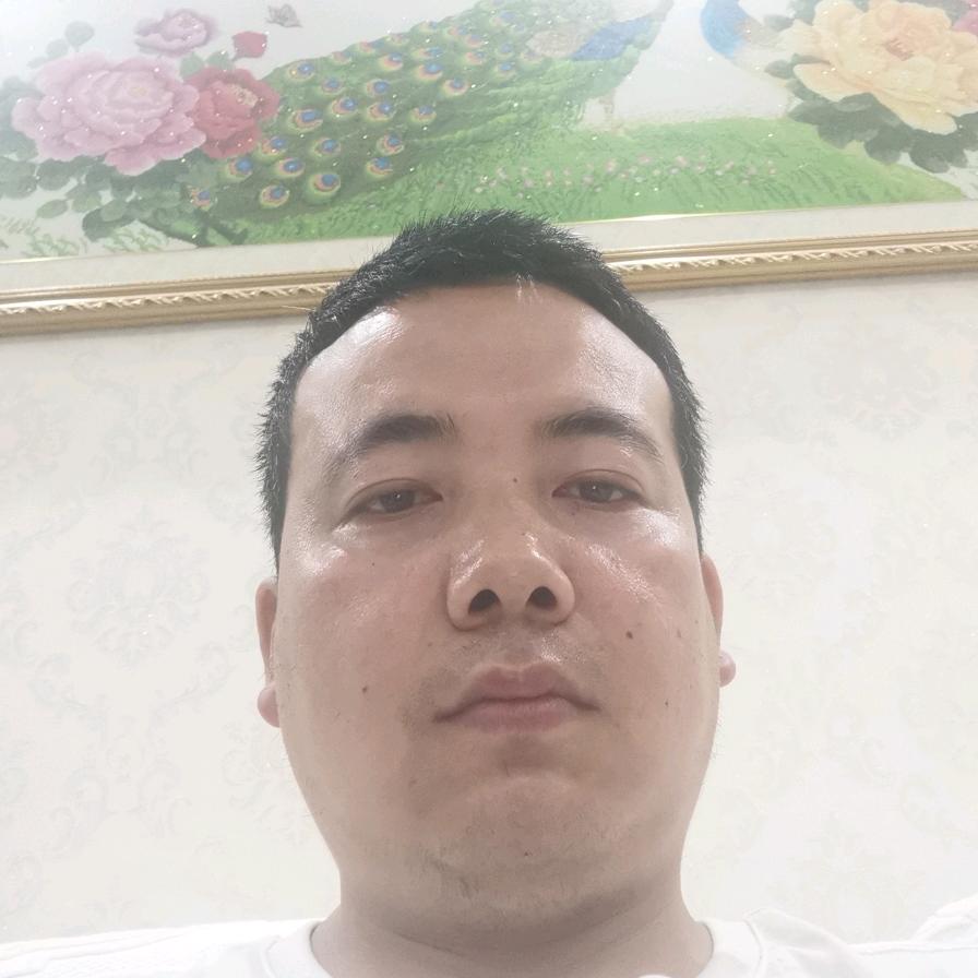 台湾炸鸡〈出摊中〉