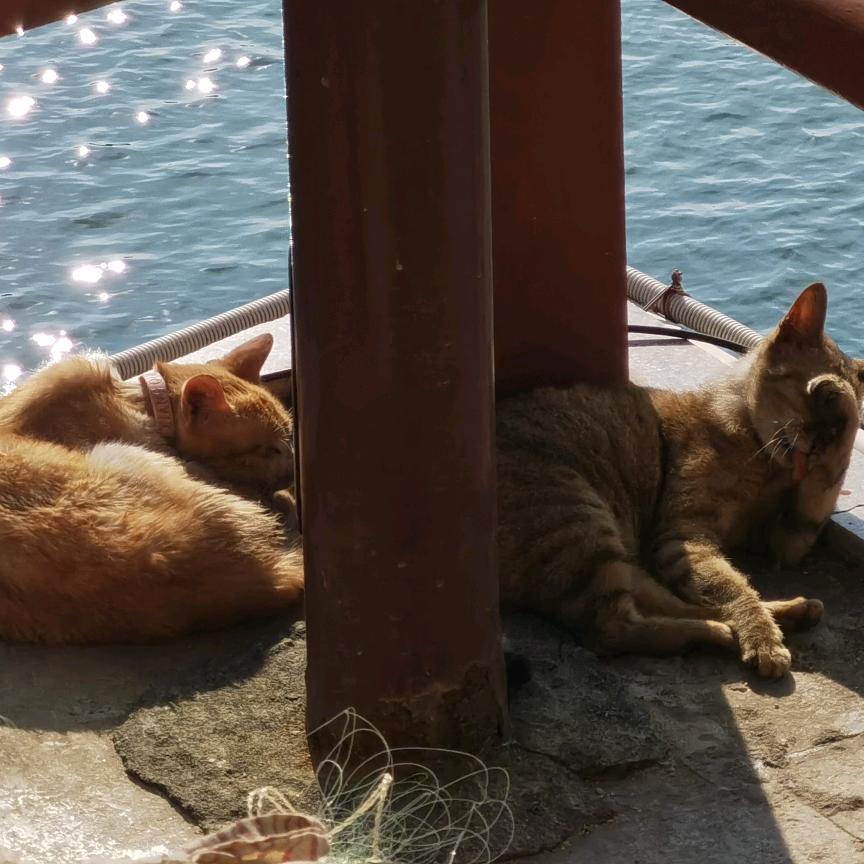 一闪一闪小星星