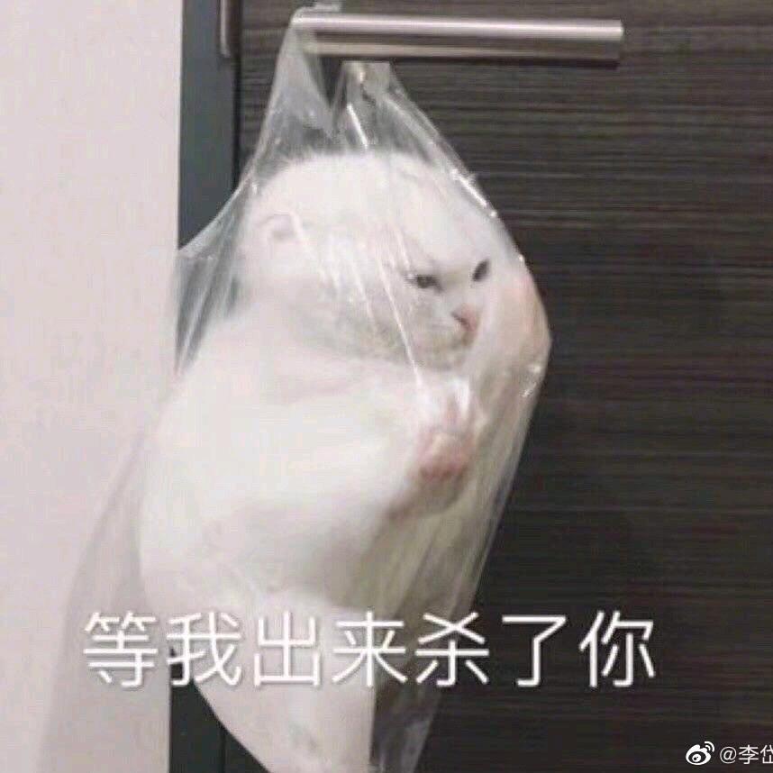 Pp帕酱头像