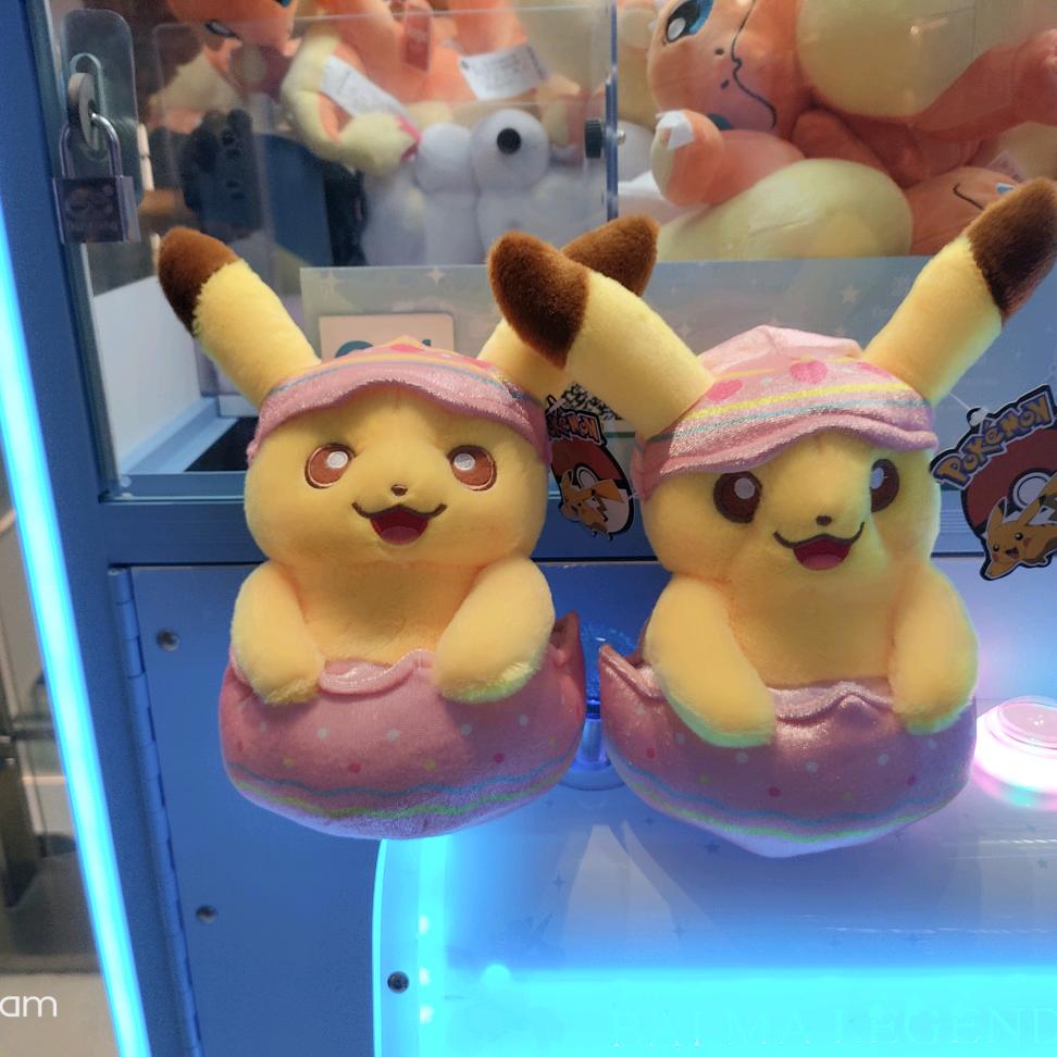 🌧️ 微雨 🌧️🌺 海棠 🌺