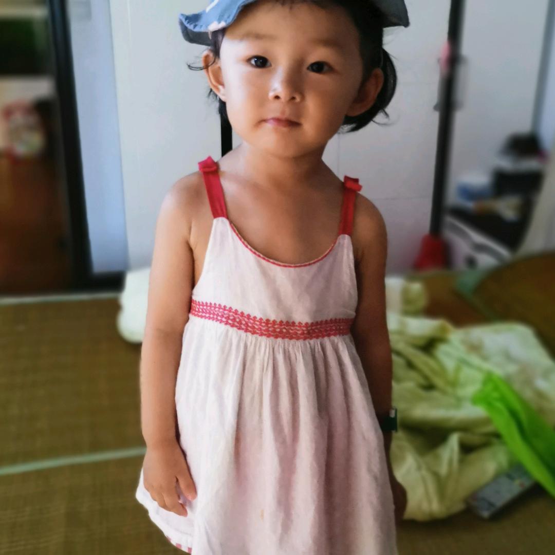 鸿雁