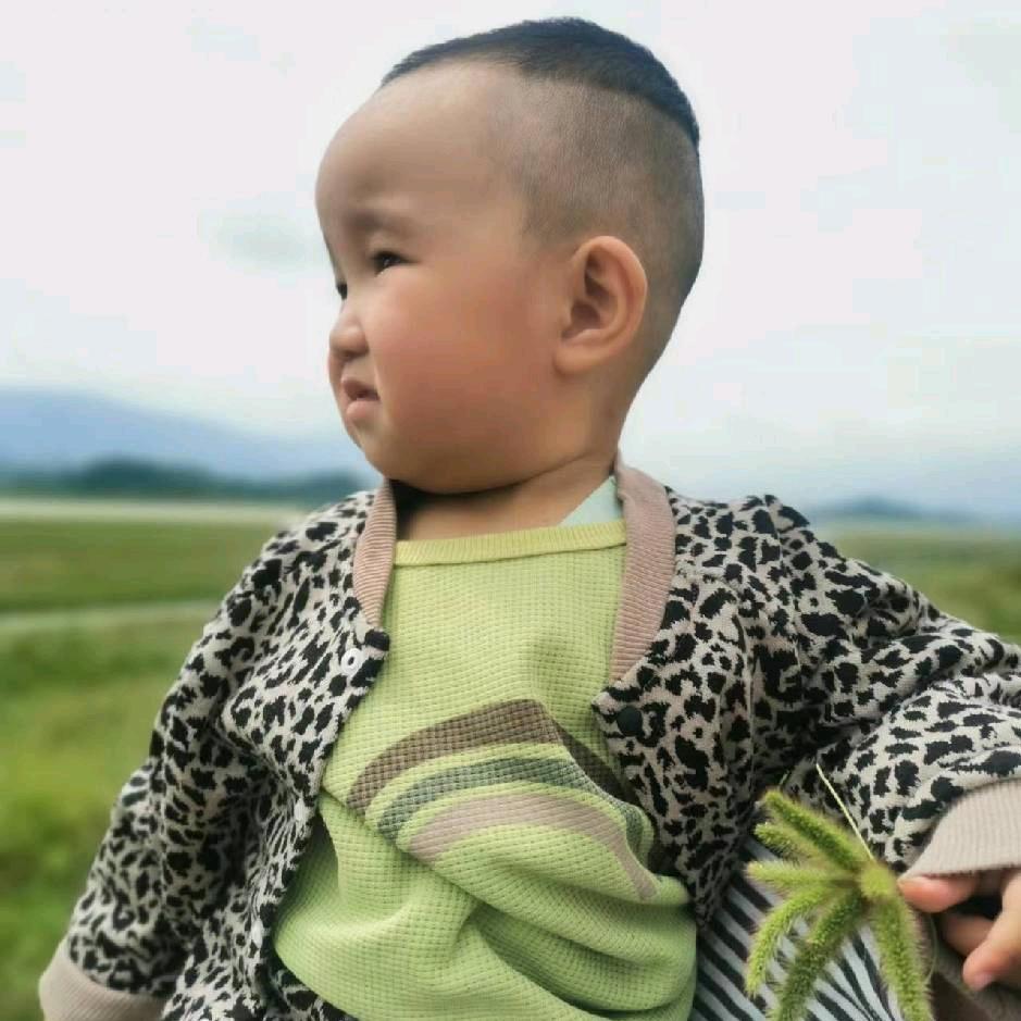 没错就是奎娃