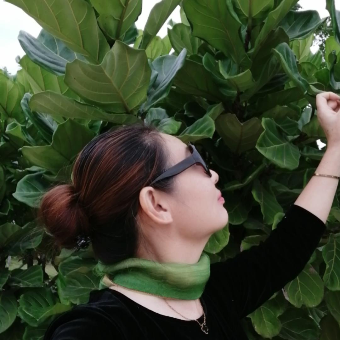 宁静致远(橱窗有好物)