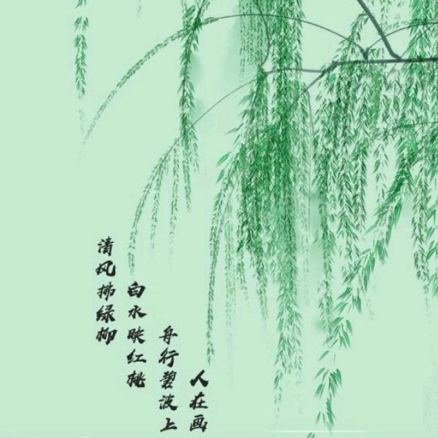 爱情几道伤