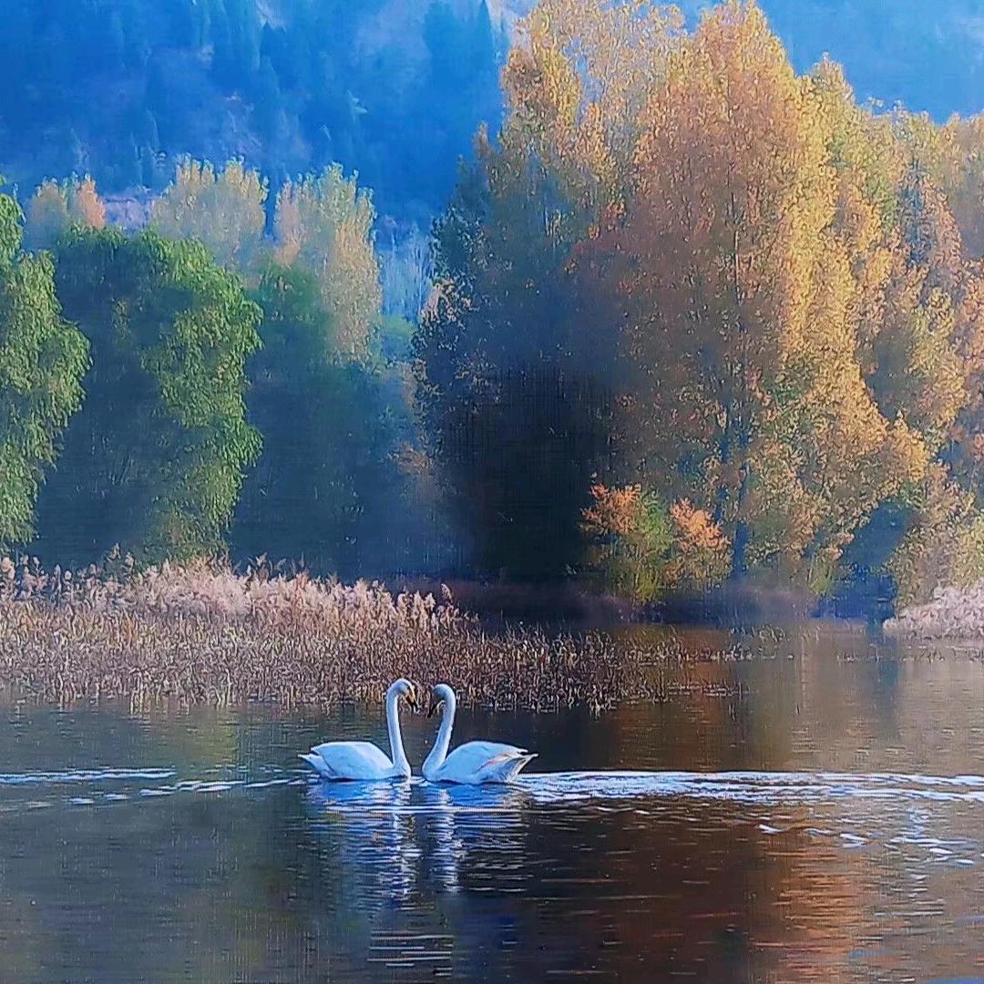 快乐永相随（王霞）