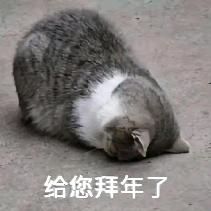司小南