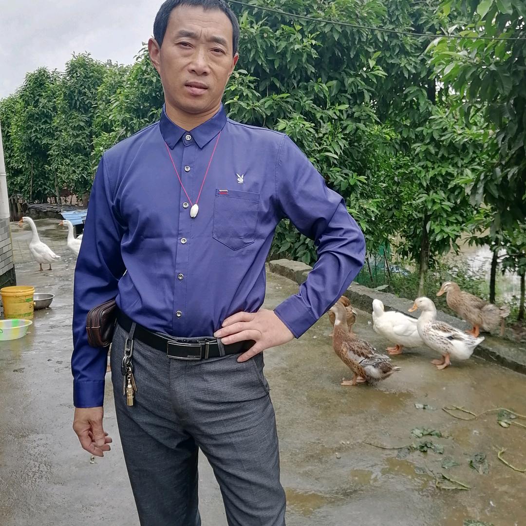 随风飘走