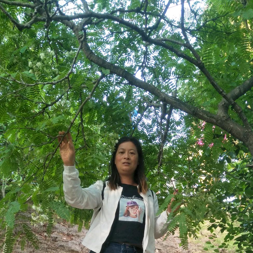 用户7312636923353