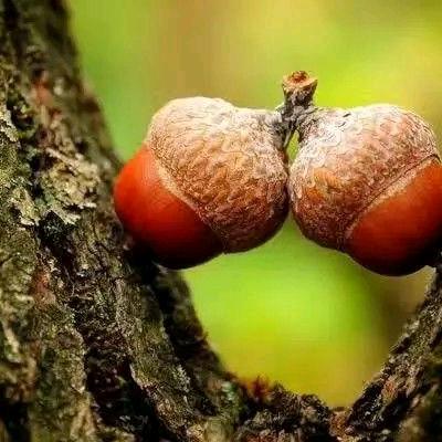 被丢在半路的人