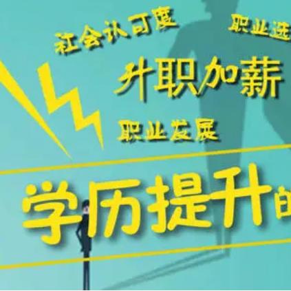 学历提升💫( ｡• 👅 •｡｀)
