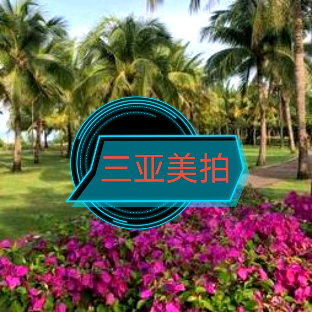 三亚美拍