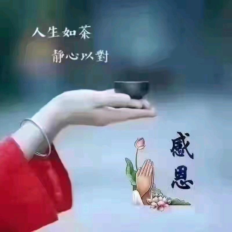 下一个路口