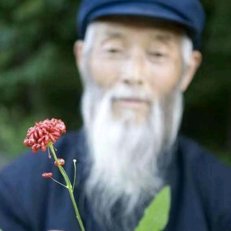 老疙瘩