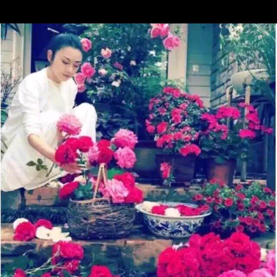 从二