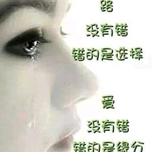 爱您不后悔