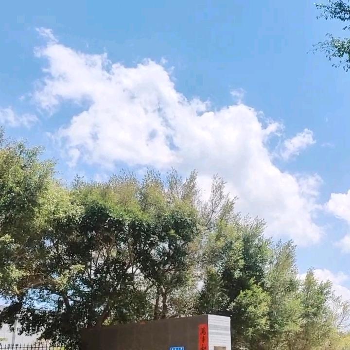 努力只为不留遗憾
