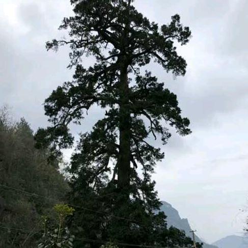 知足常乐