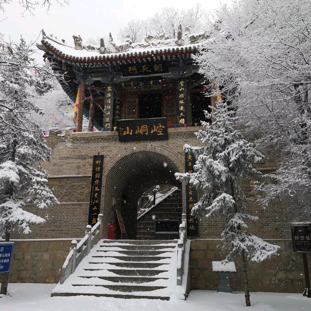 从你全世界不路过