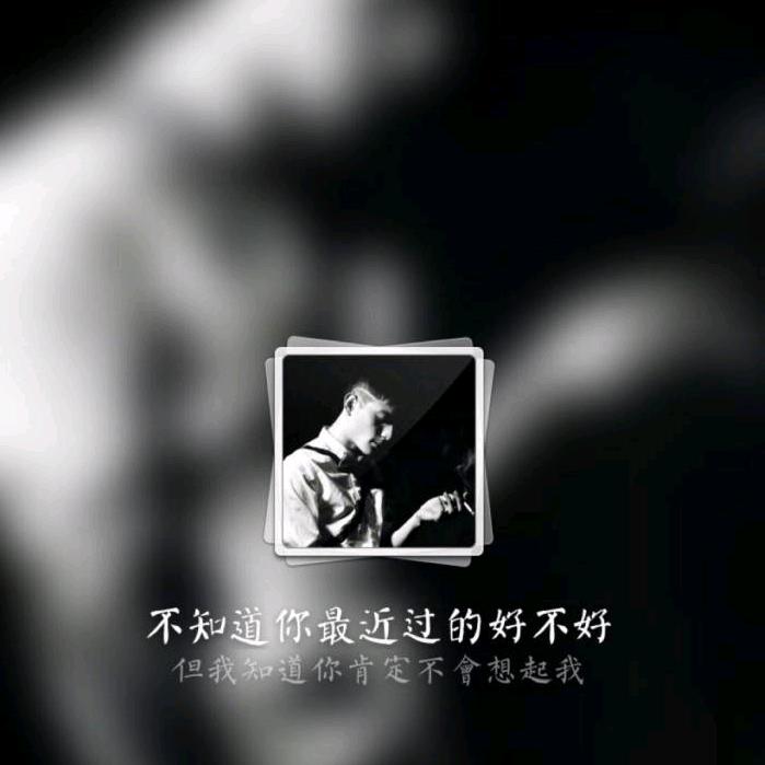 只愿醉红尘
