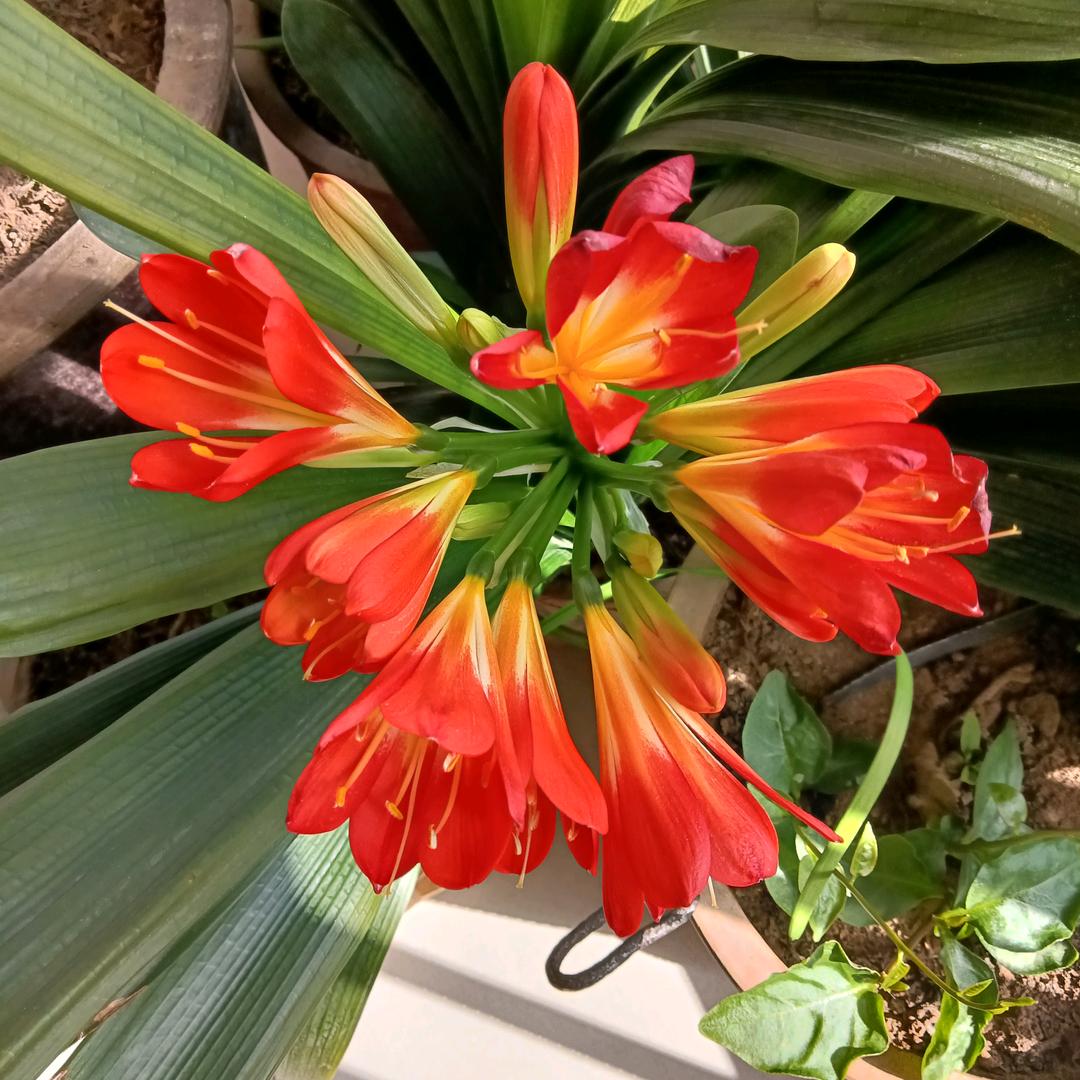 快乐每一天🌞🌹