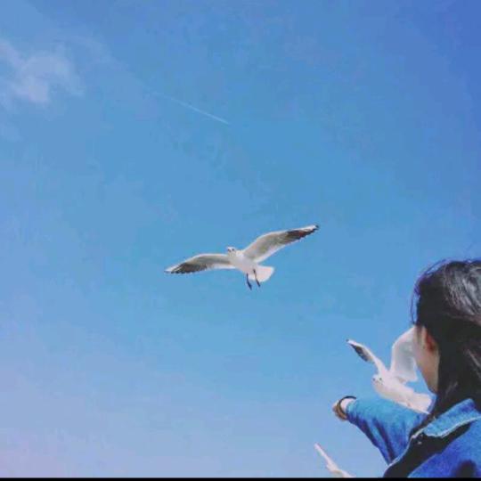 寇飞