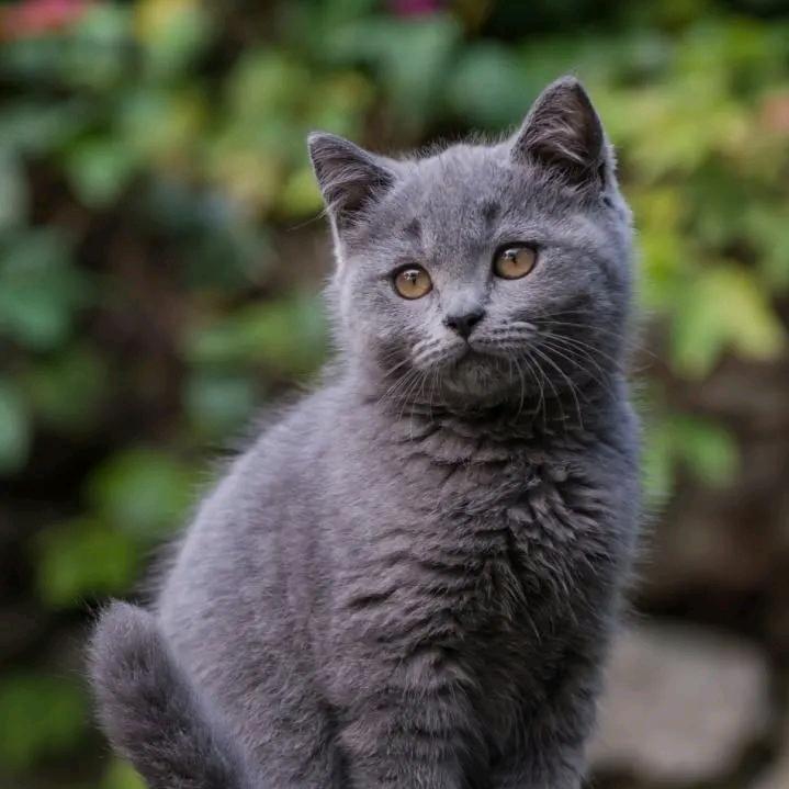 我相信明天会更好