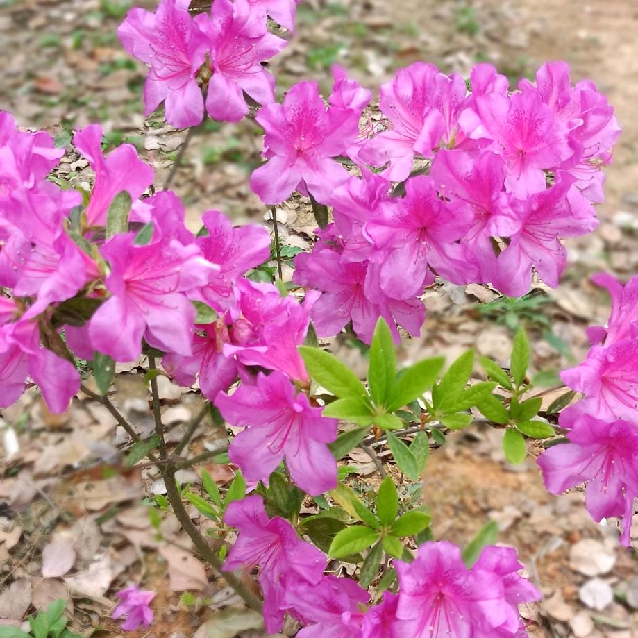开心，每一天