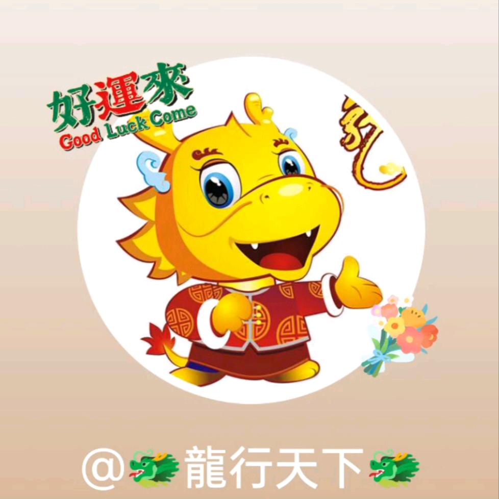 🐉龍行天下🐉